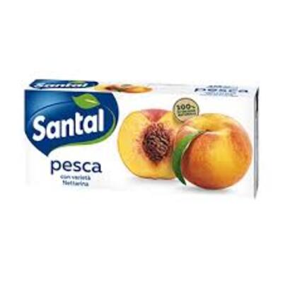 SUCCHI SANTAL PESCA CL33X3